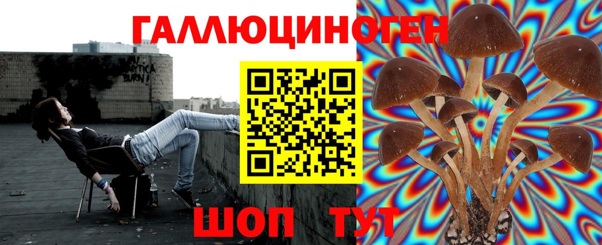 Псилоцибиновые грибы ЛСД Луга