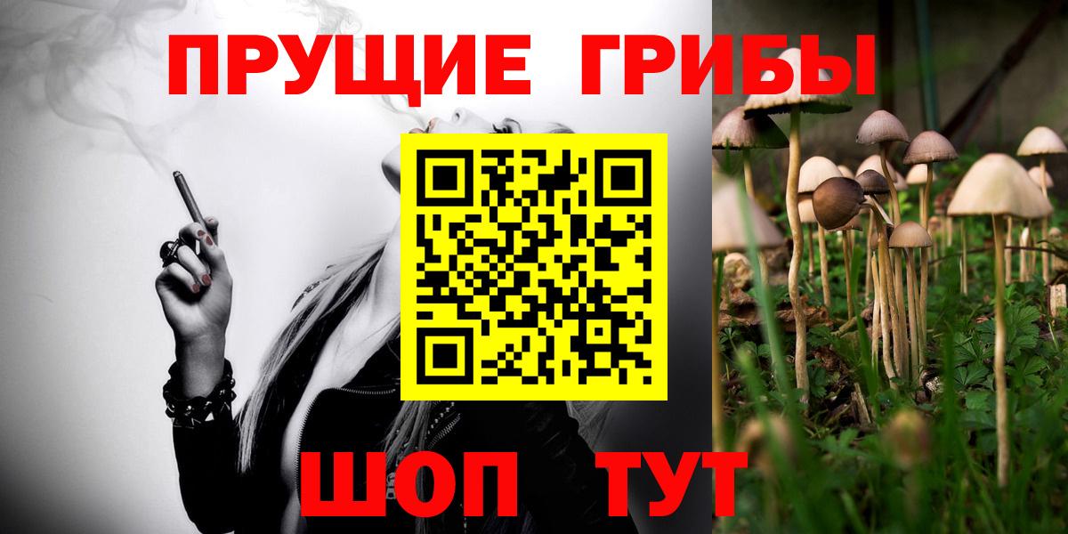 Галлюциногенные грибы Psilocybe  Вход с VPN  Галлюциногенные грибы ЛСД  Луга 